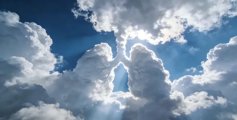 宣城肺癌12基因ctDNA突变检测(血液）图片1