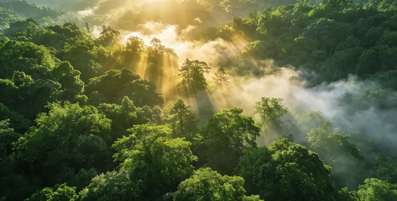 宣城肺癌68基因检测图片1